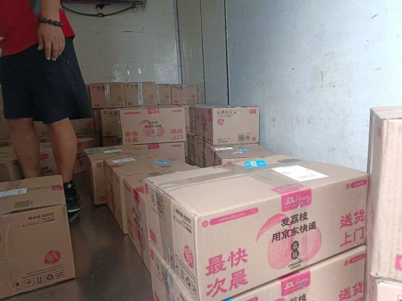 荔枝糯米糍广东东莞正宗岭南荔枝优质品种