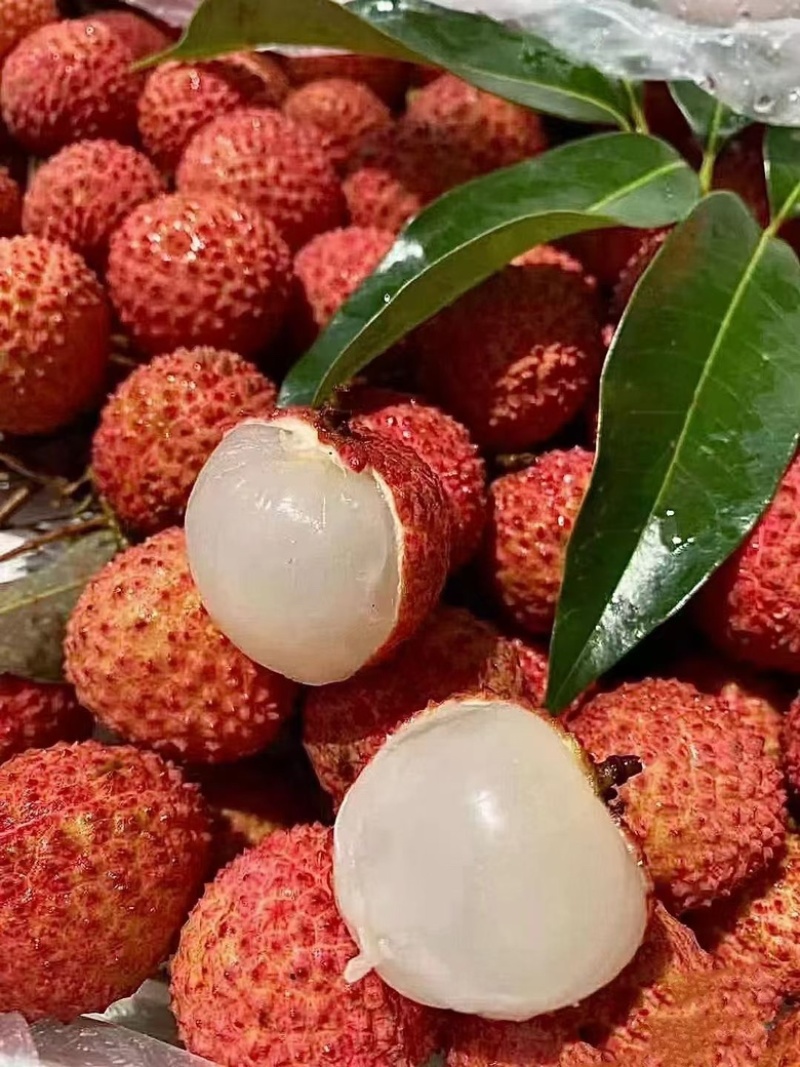 广东惠州沥林镇桂味荔枝供应自家荔枝协助装车