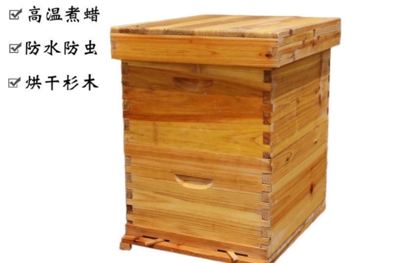 意蜂煮蜡蜜蜂箱带继箱中蜂高箱标准十框双层全杉木蜂箱