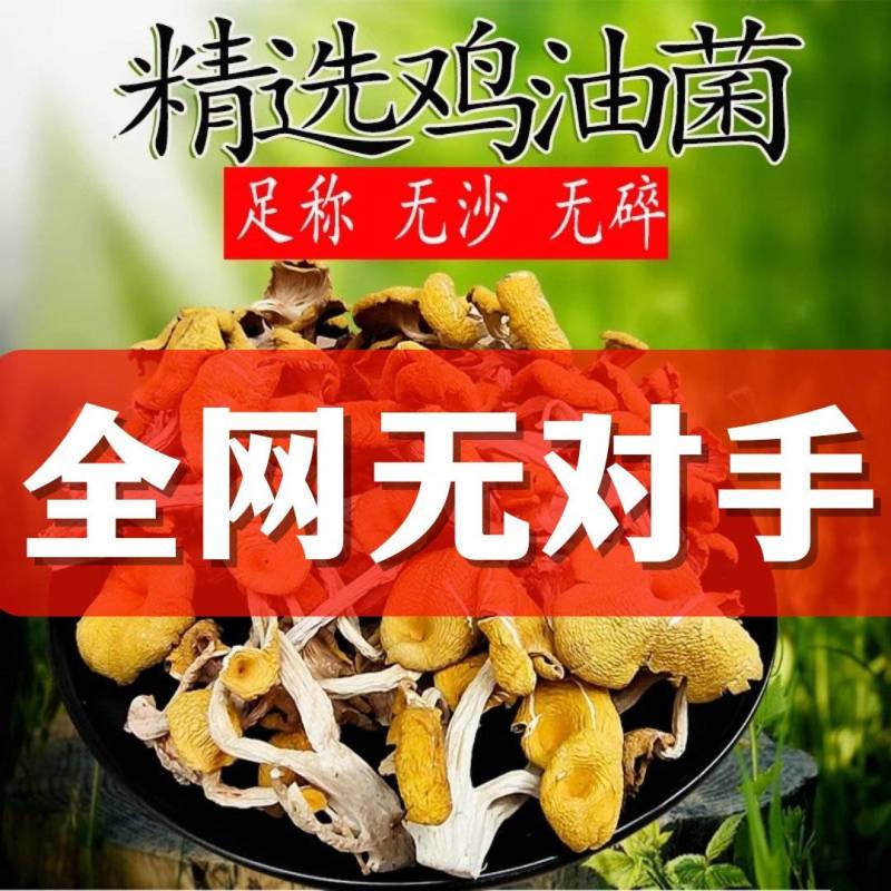 福建鸡油菌干货批发榆黄菇干货批发，一键代发！干鸡油菌