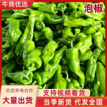 【优质推荐】泡椒规格齐全大量有货量大从优保质保量