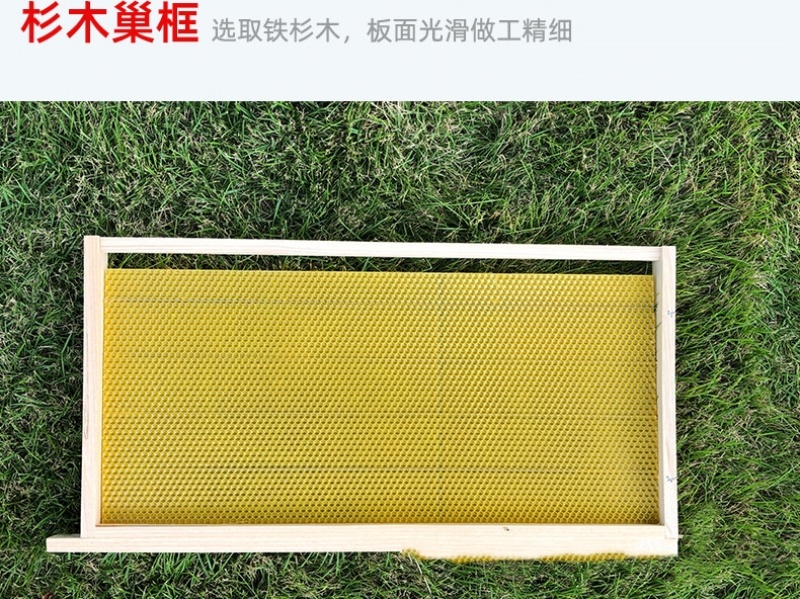 意蜂巢础框成品带框巢础全杉木巢脾意蜂巢础养蜂工具全套