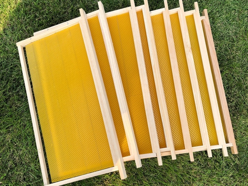 意蜂巢础框成品带框巢础全杉木巢脾意蜂巢础养蜂工具全套