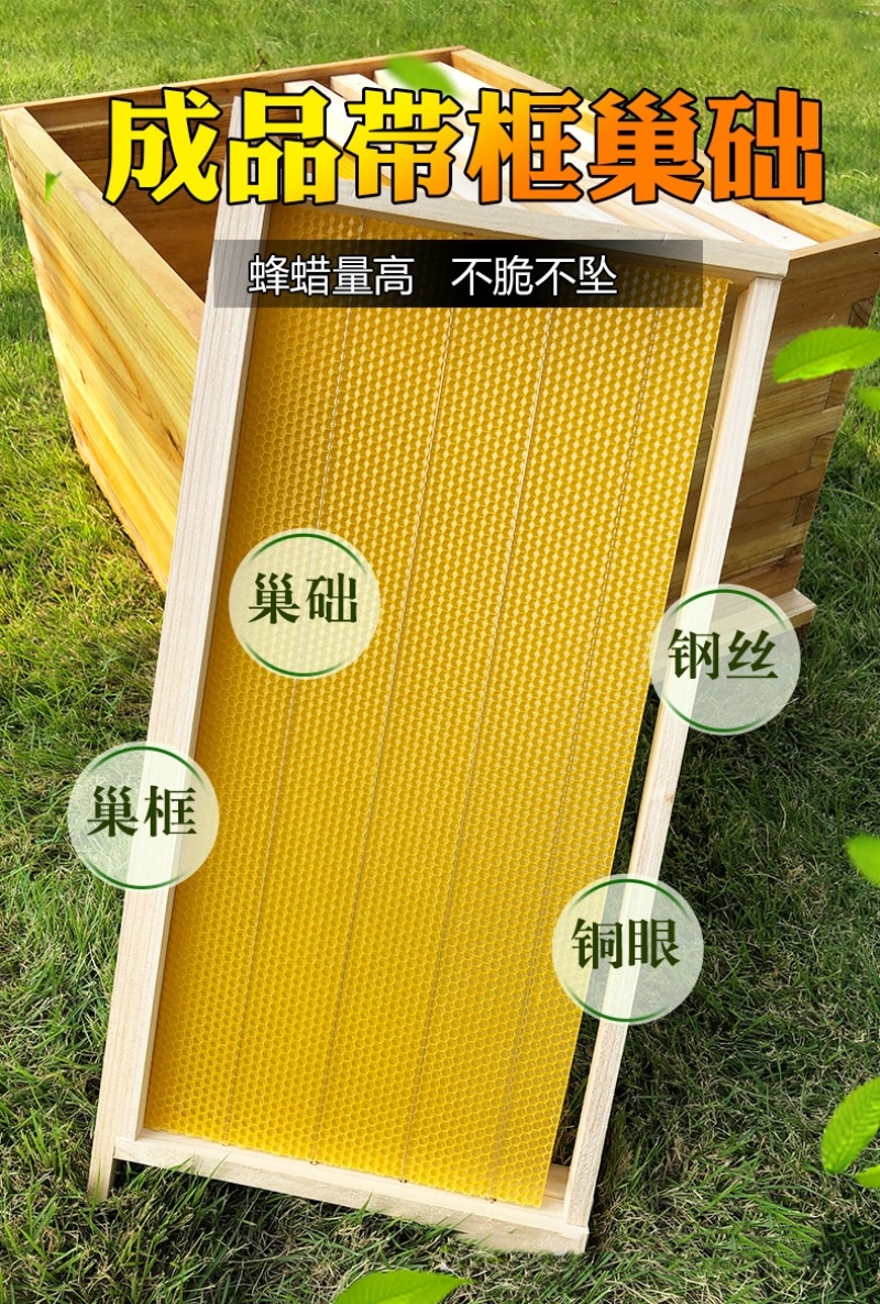 意蜂巢础框成品带框巢础全杉木巢脾意蜂巢础养蜂工具全套