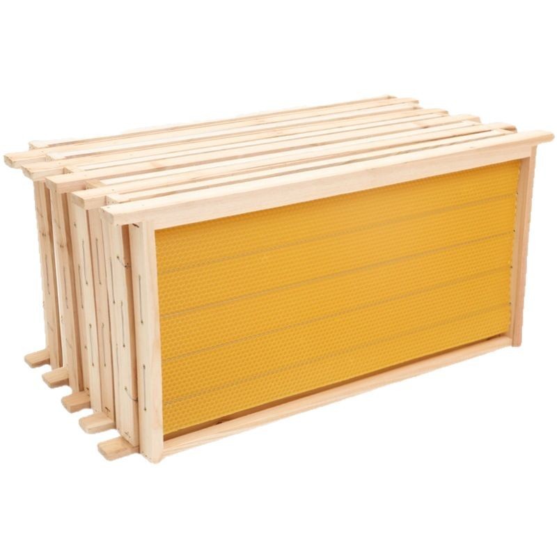 意蜂巢础框成品带框巢础全杉木巢脾意蜂巢础养蜂工具全套