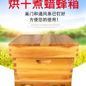蜂箱中蜂意蜂煮蜡标准蜂箱巢框平箱养蜂工具巢础十框蜂箱全