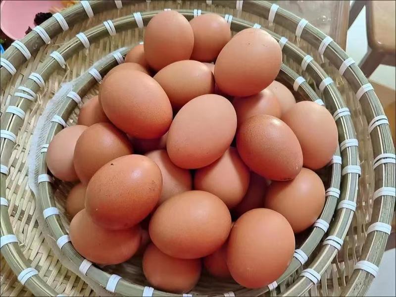 正宗红皮鸡蛋农家散养新鲜鸡蛋纯农村自养天然家庭食用