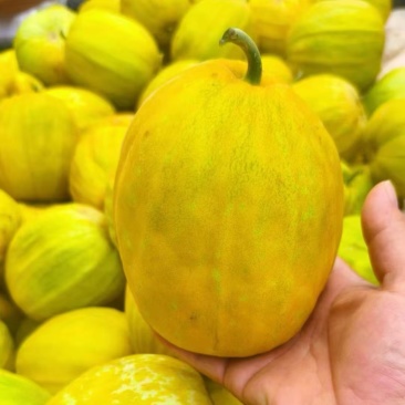 精品湖北丑八怪绿宝甜瓜大量供应产地直发质量保证