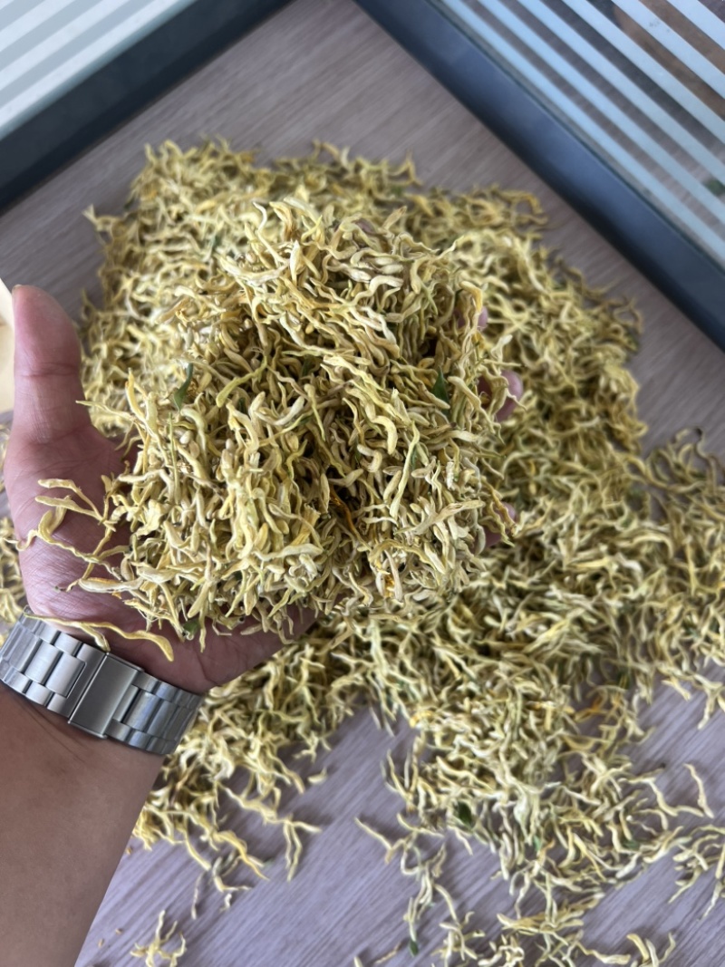 北花一号金银花