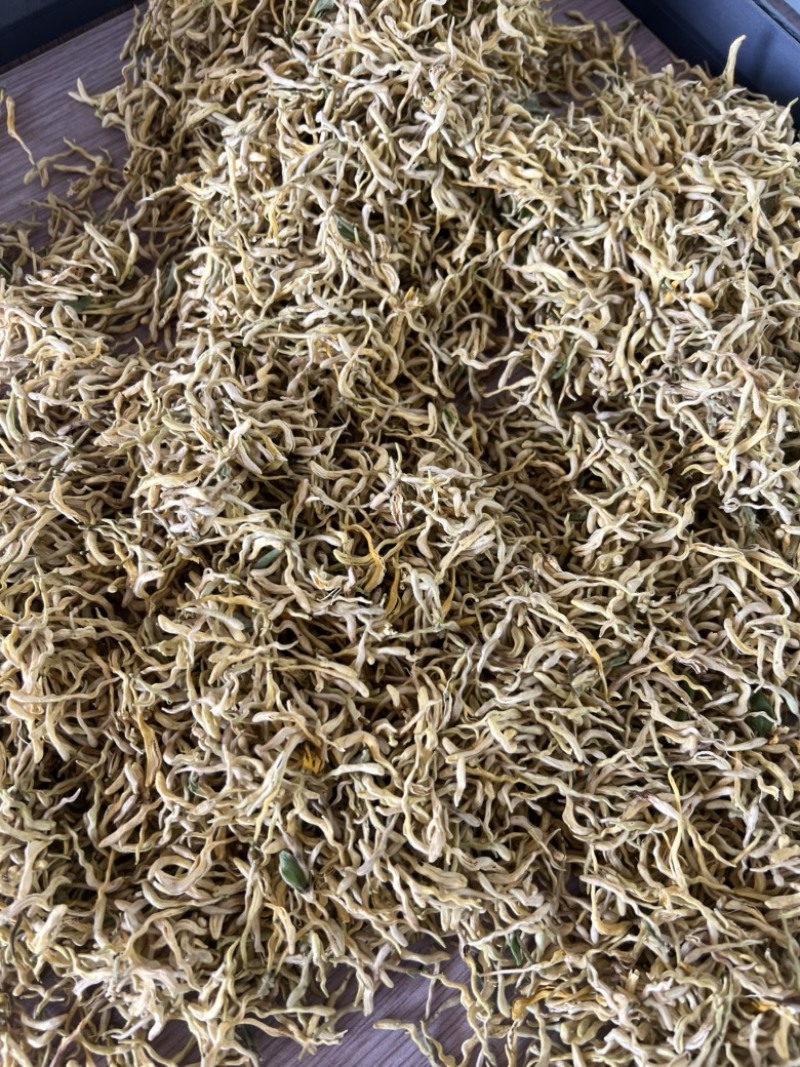 北花一号金银花
