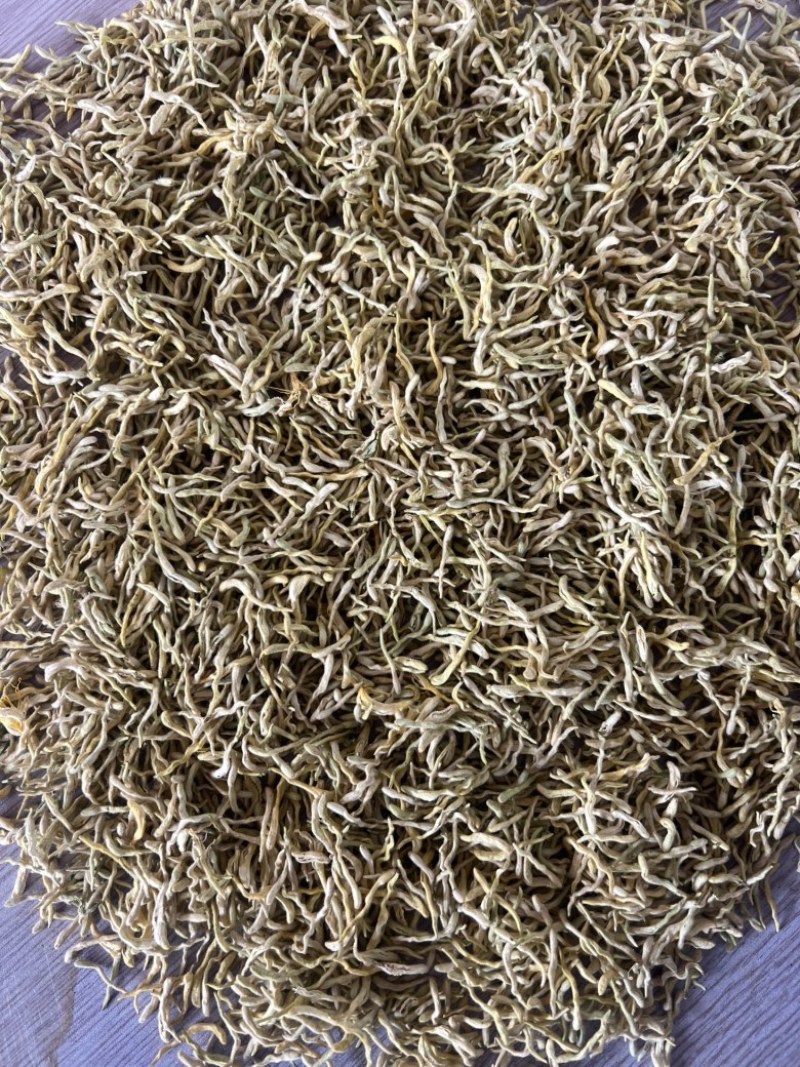 北花一号金银花