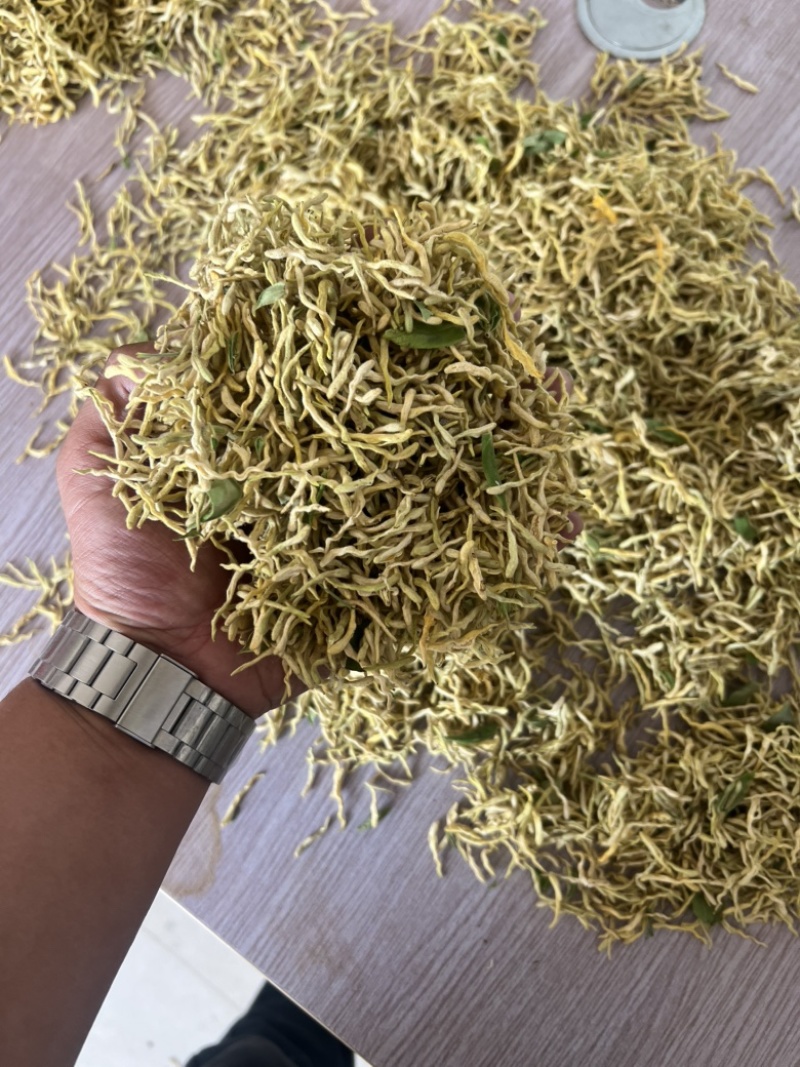 北花一号金银花