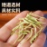 北花一号金银花