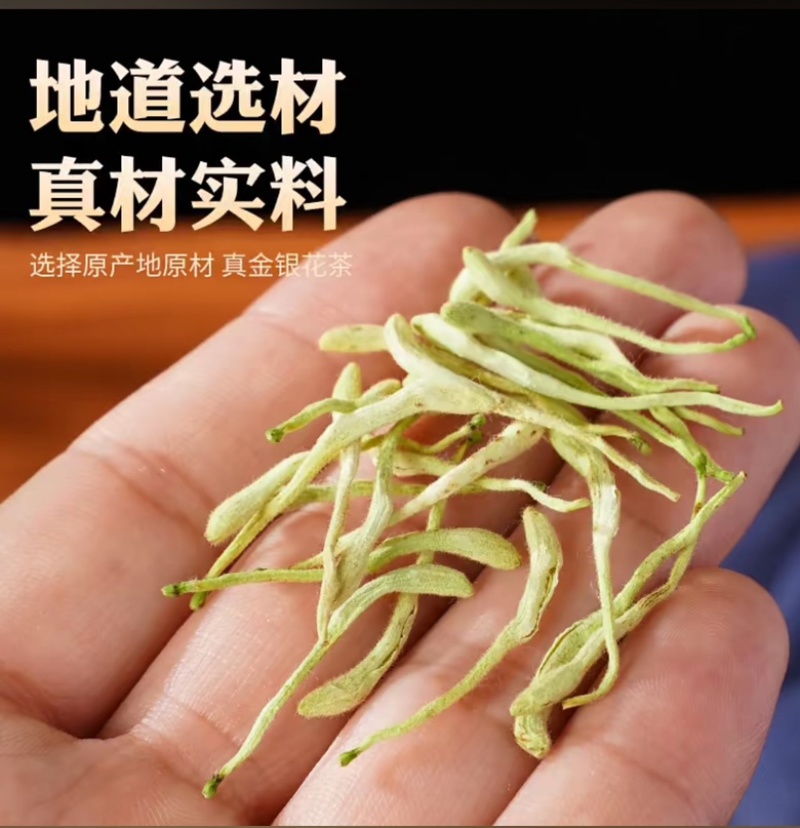 北花一号金银花