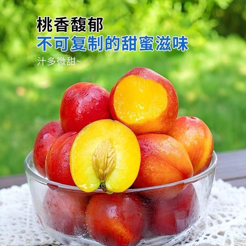 油桃