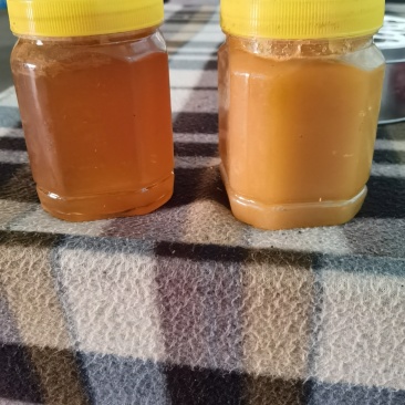 ***一级土蜂蜜