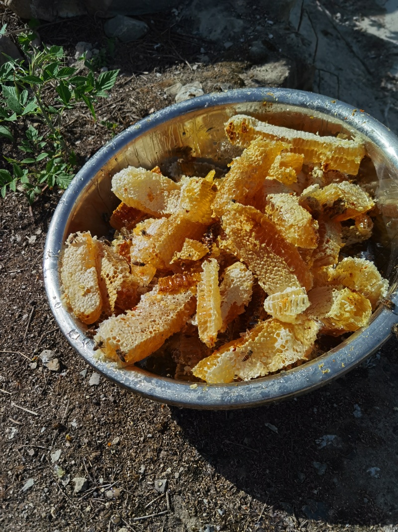 ***一级土蜂蜜