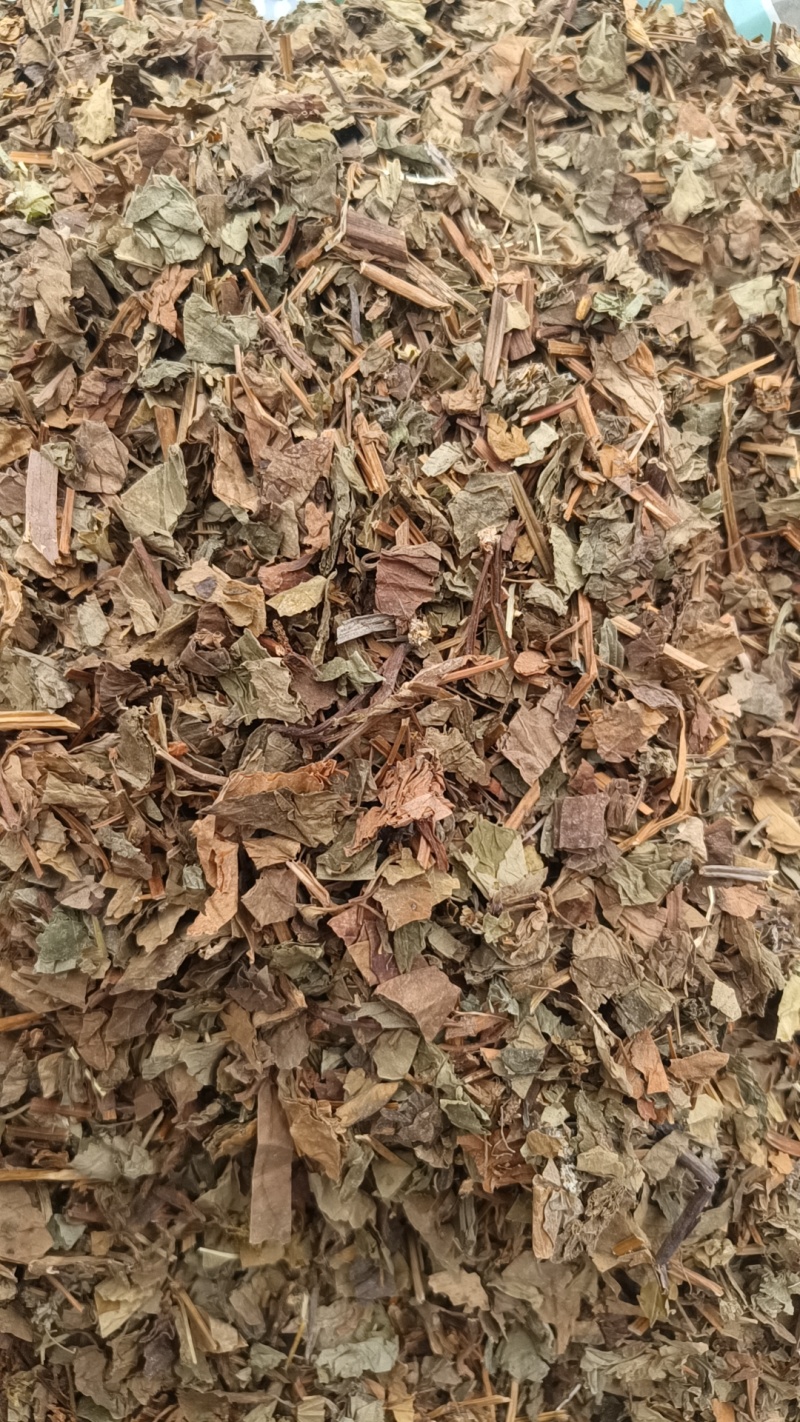 鱼腥草，野生鱼腥草，产地一手货源大货批发【丹丹中药】