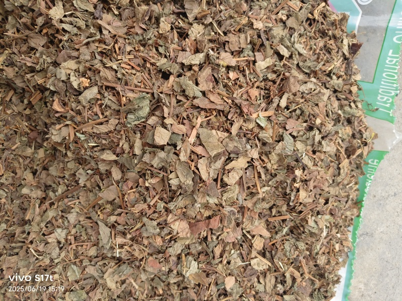 鱼腥草，野生鱼腥草，产地一手货源大货批发【丹丹中药】