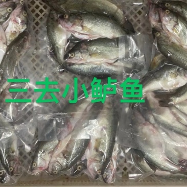新鲜杀好的小鲈鱼500克一包