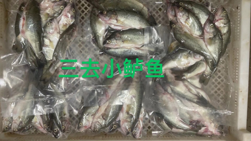 新鲜杀好的小鲈鱼500克一包