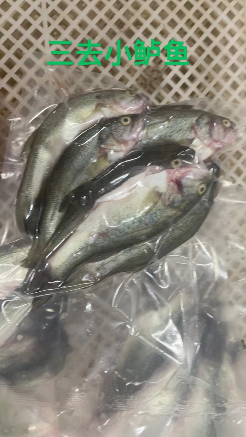 新鲜杀好的小鲈鱼500克一包