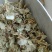 《金钱草》广金钱草大金钱草,金钱草选好药就选聚源中药