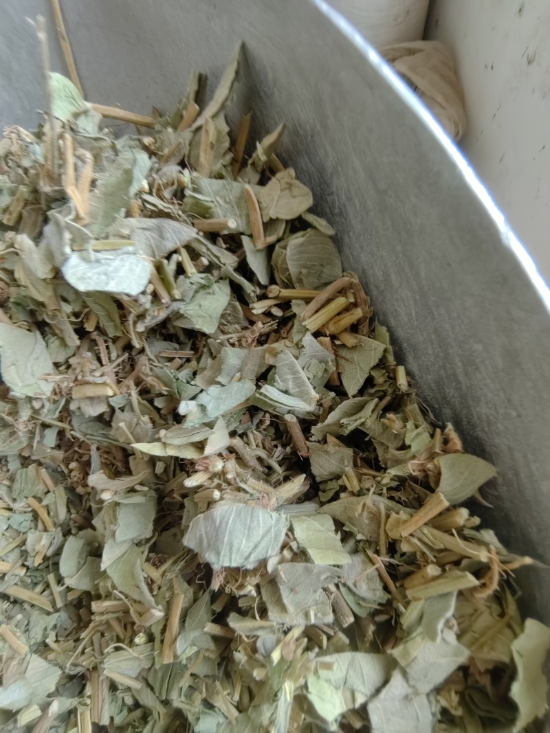 《金钱草》广金钱草大金钱草，金钱草选好药就选聚源中药