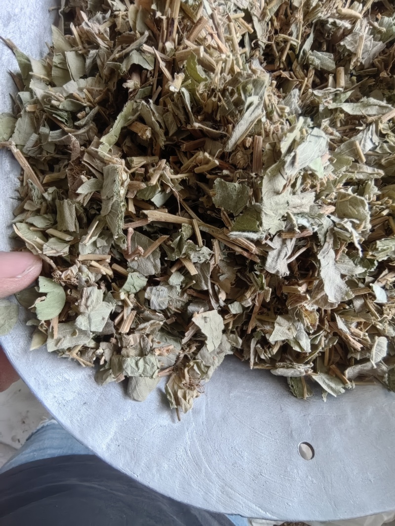 《金钱草》广金钱草大金钱草，金钱草选好药就选聚源中药