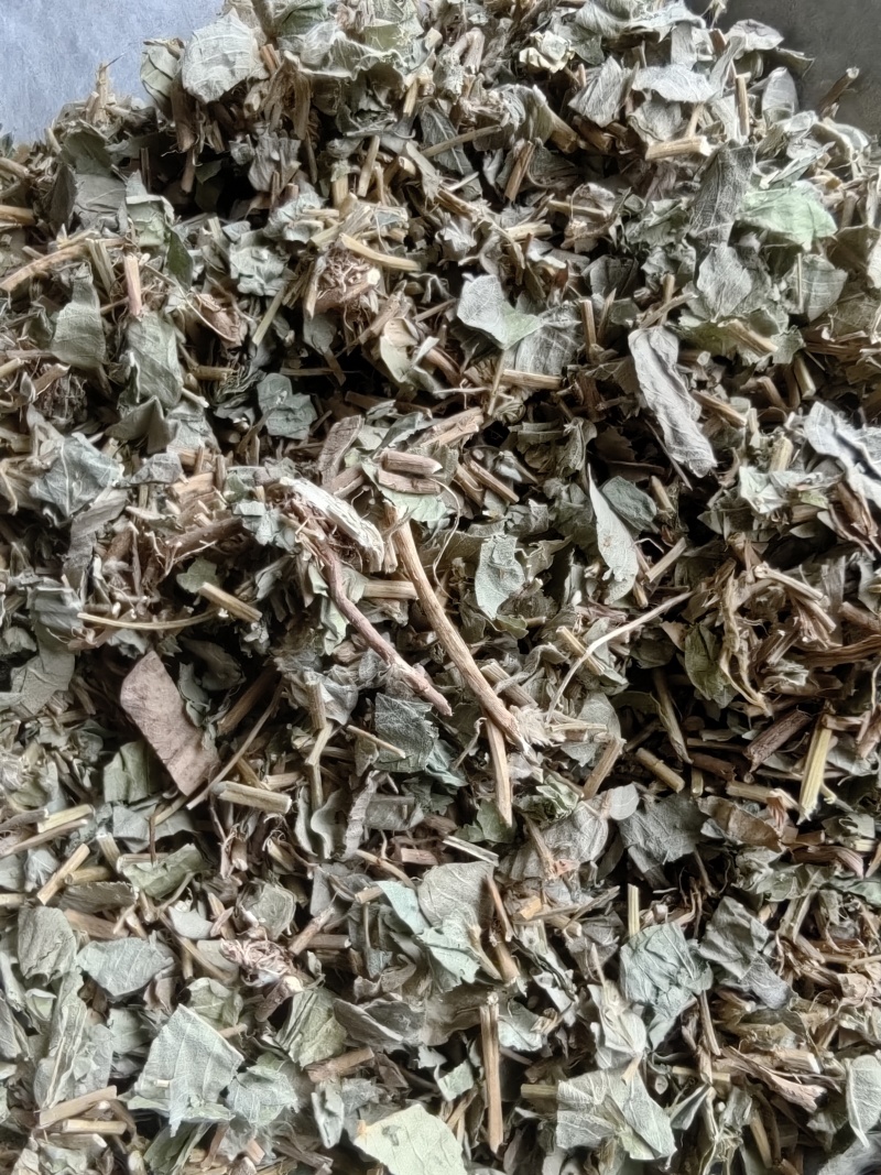 《金钱草》广金钱草大金钱草，金钱草选好药就选聚源中药