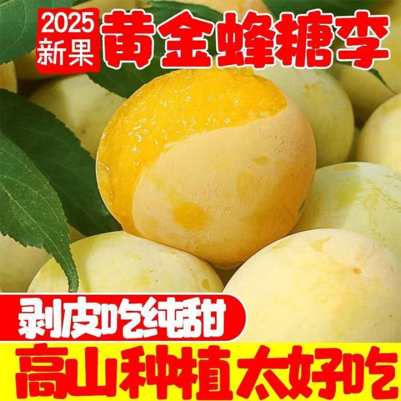 【实力】正宗四川黄金李脆甜多汁产地直发可视频看货