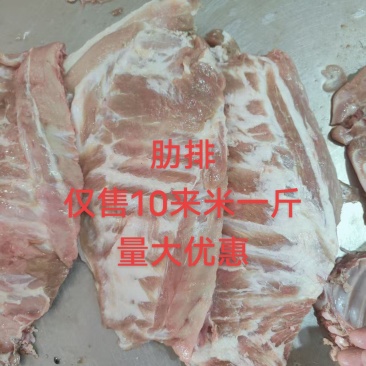 肋排