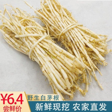 白茅根新鲜野生现挖茅根竹蔗马蹄茅根水甜茅根凉茶中草药食材