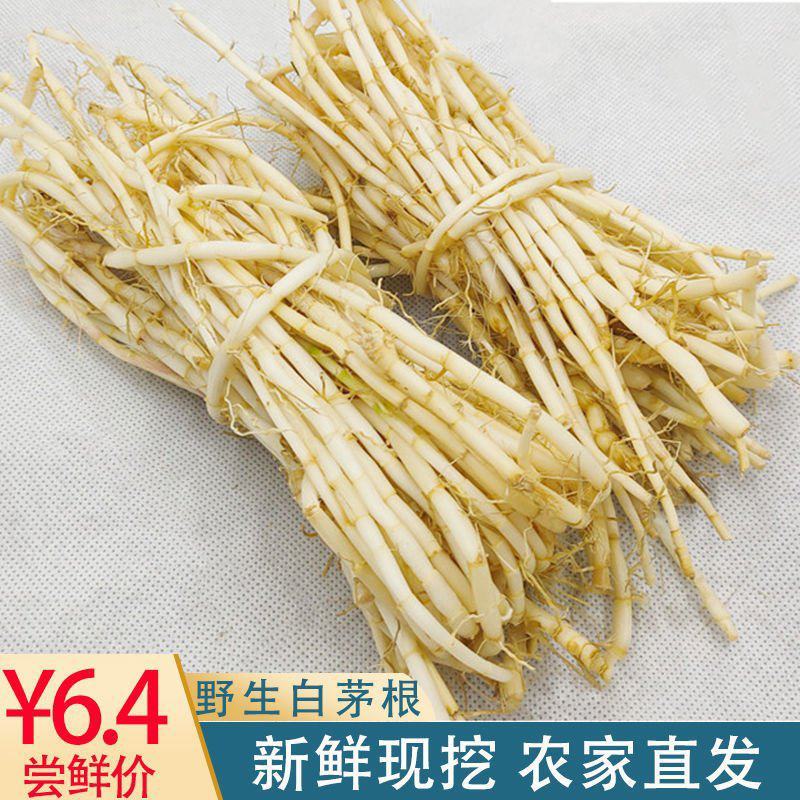 白茅根新鲜野生现挖茅根竹蔗马蹄茅根水甜茅根凉茶中草药食材