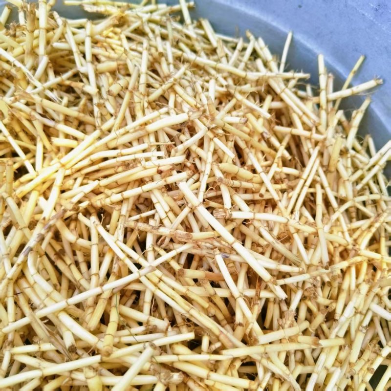 白茅根新鲜野生现挖茅根竹蔗马蹄茅根水甜茅根凉茶中草药食材