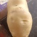 土豆土豆大量上市欢迎新老客户光临惠顾