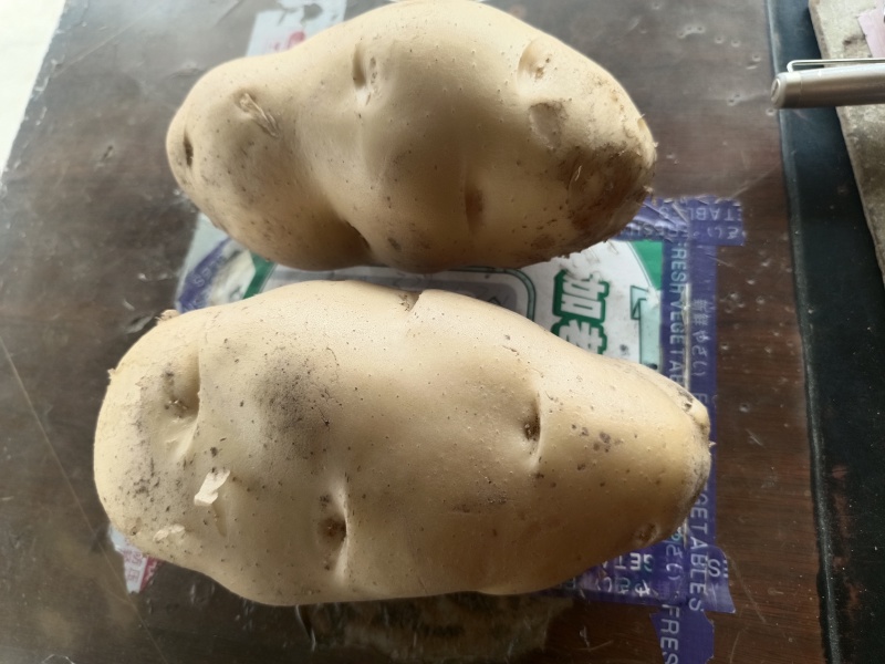 土豆土豆大量上市欢迎新老客户光临惠顾