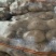 土豆土豆大量上市欢迎新老客户光临惠顾