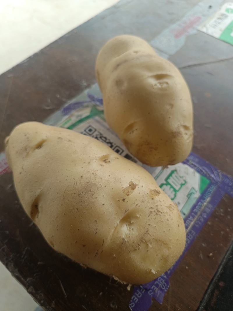 土豆土豆大量上市欢迎新老客户光临惠顾