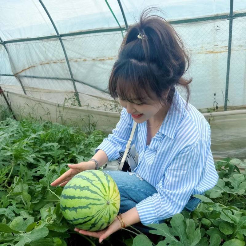 麒麟瓜美都无籽西瓜江苏核心产区直发质量三包，全国发