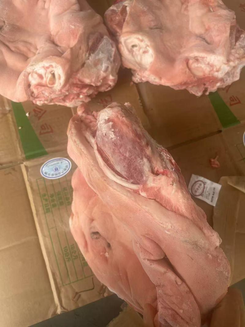 一级猪头