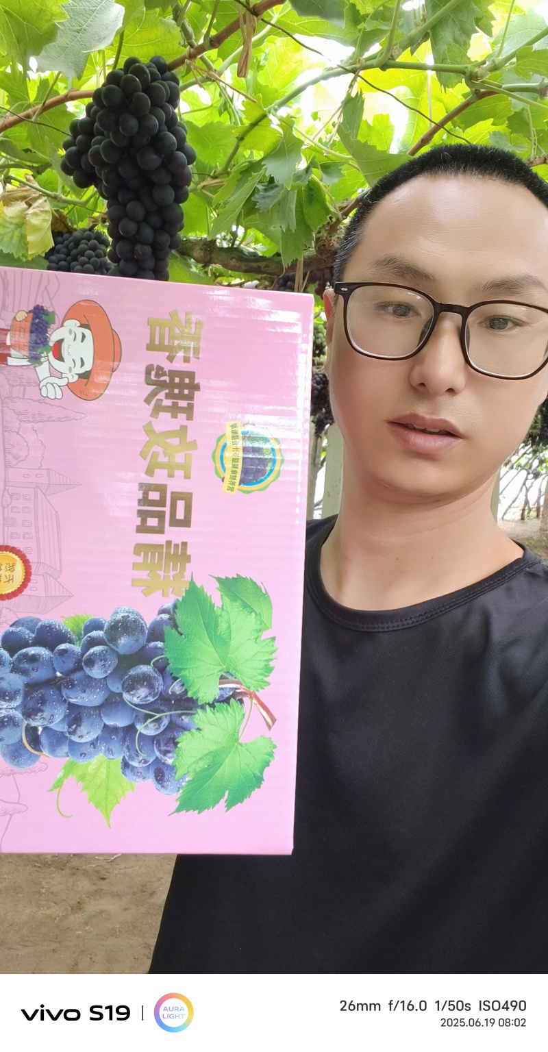 昌黎精品玫瑰香葡萄电商小礼盒