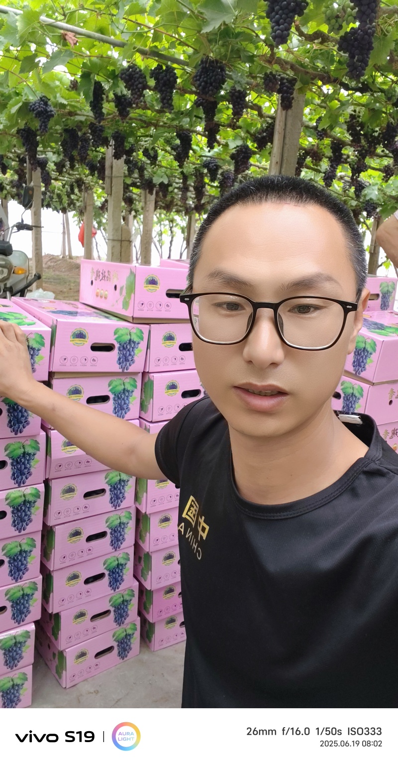 昌黎精品玫瑰香葡萄电商小礼盒