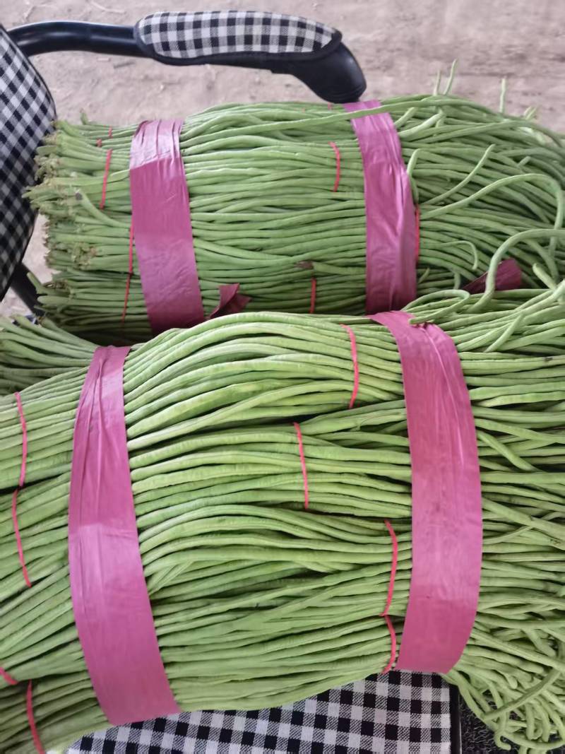 长豆角，产地直供全国代收代卖，一件代发全国走货可视频