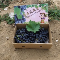 昌黎精品玫瑰香葡萄电商小礼盒