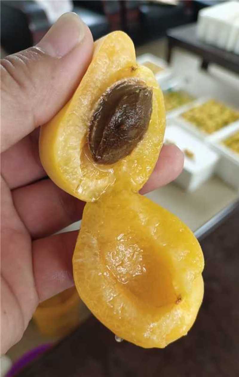 精品荷兰香蜜杏大量上市产地装车量大从优诚信经营致电联系