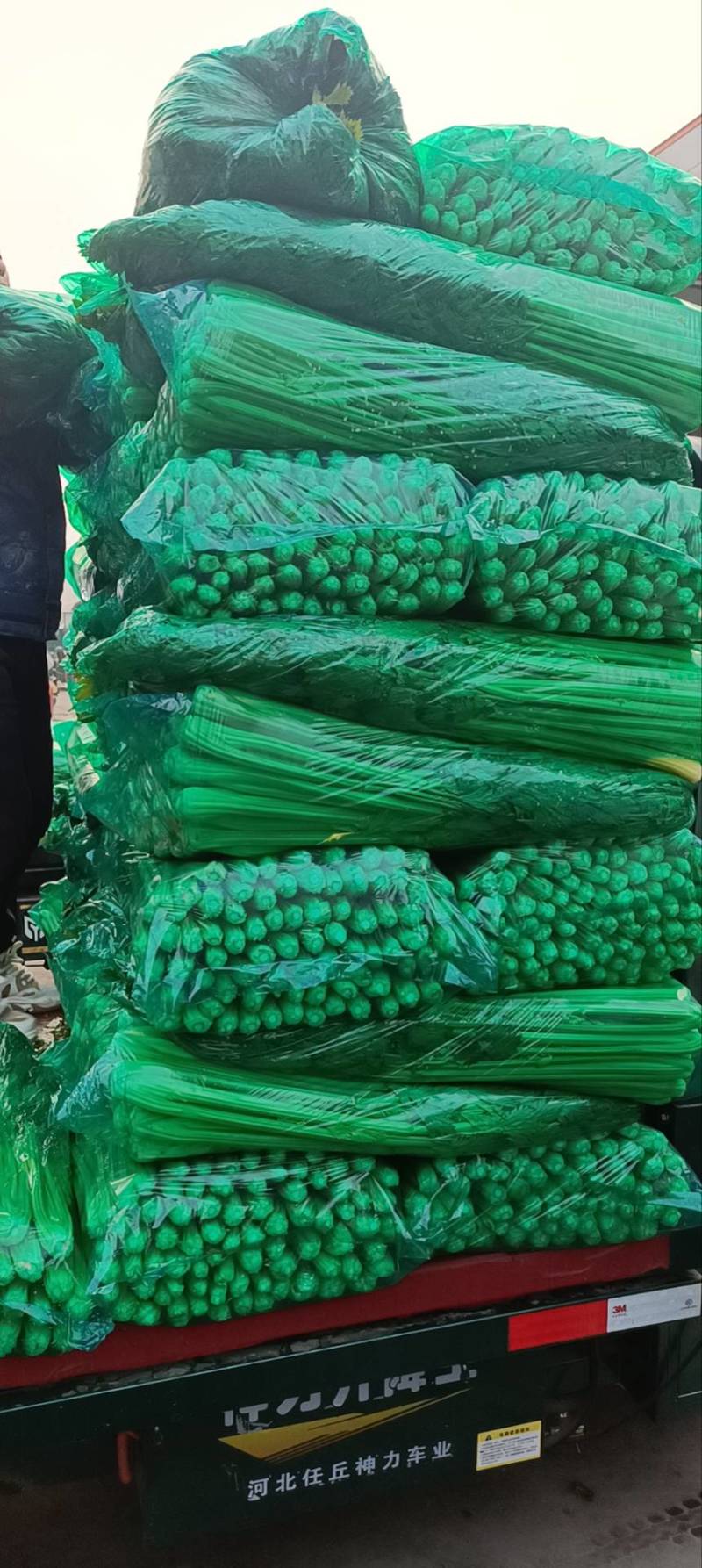 河北一级精品芹菜，河北A级精品芹菜，河北肃宁芹菜