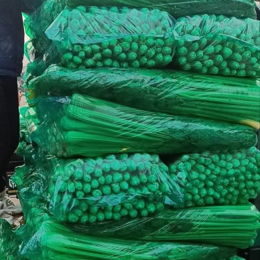 山东一级精品芹菜，山东A级精品芹菜，山东商河芹菜