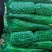 山东一级精品芹菜，山东A级精品芹菜，山东商河芹菜