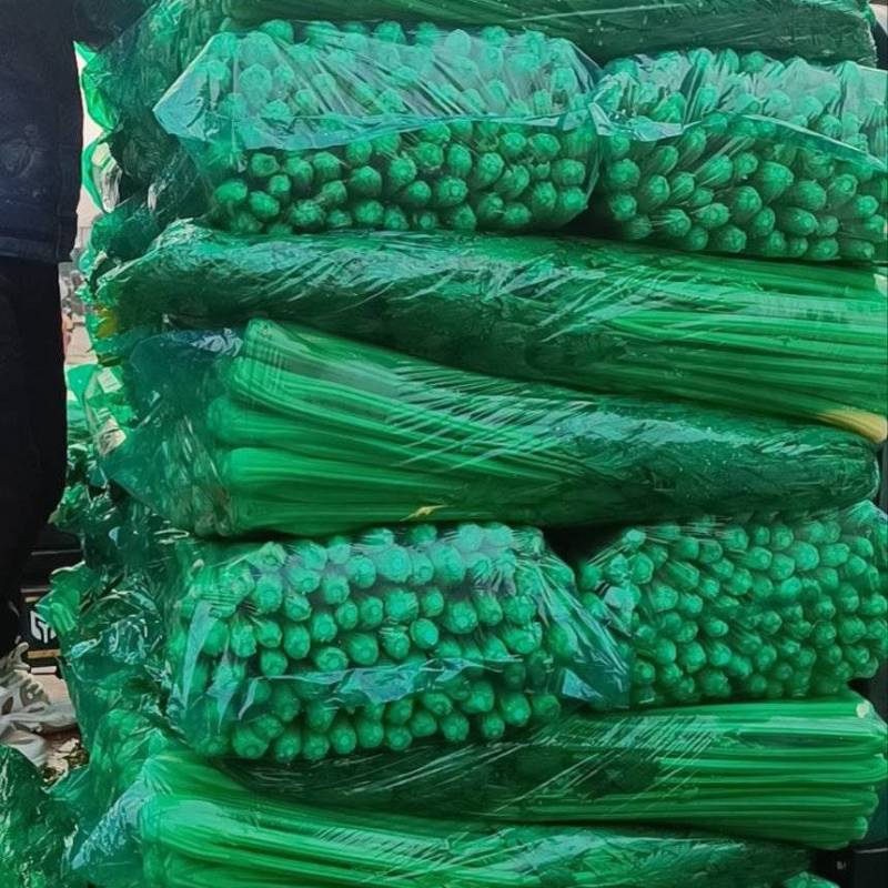 山东一级精品芹菜，山东A级精品芹菜，山东商河芹菜